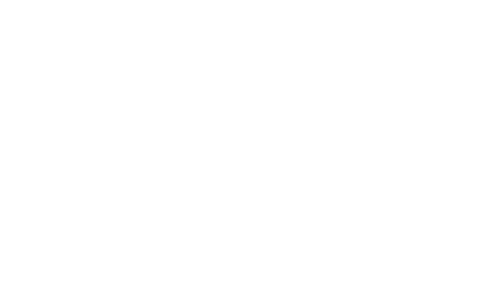 Логотип BGaming