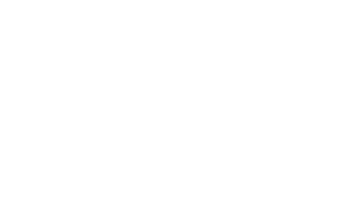 Логотип Galaxsys