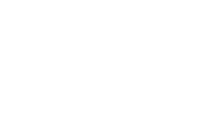 Логотип Platipus