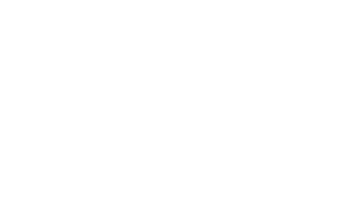 Логотип Red Tiger
