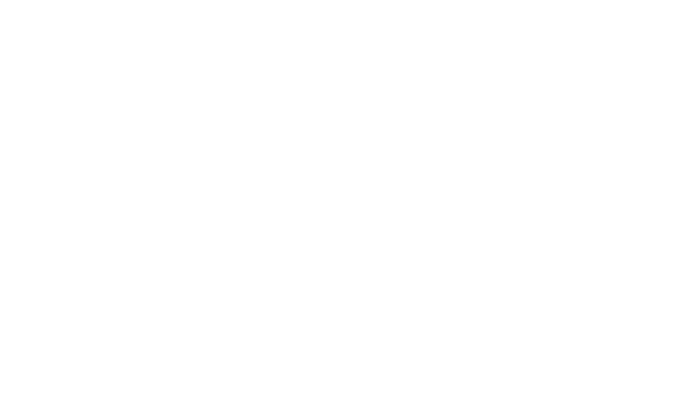 Логотип Tom Horn Gaming